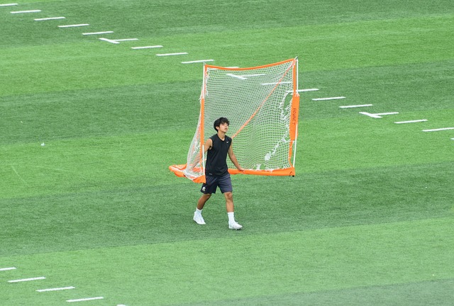 续留在博洛